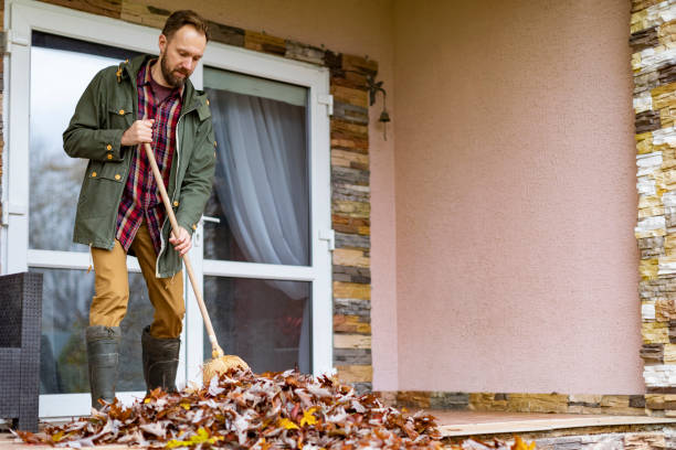 Best Furniture Removal Near Me  in Linden, TN